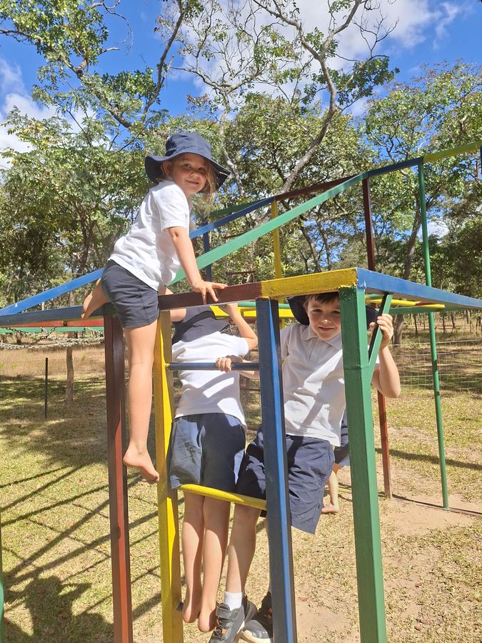 Climbing frame in the bush